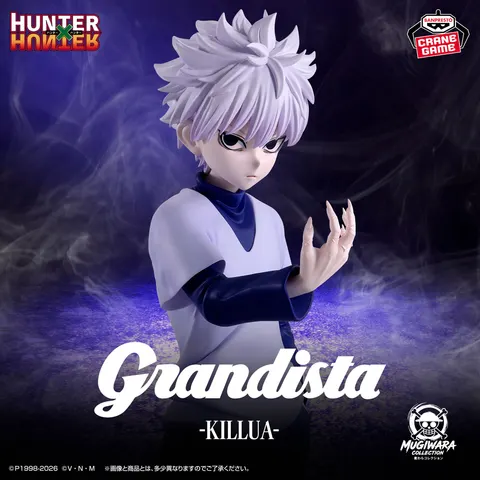 Killua Zoldyck Hunter x Hunter Grandista
