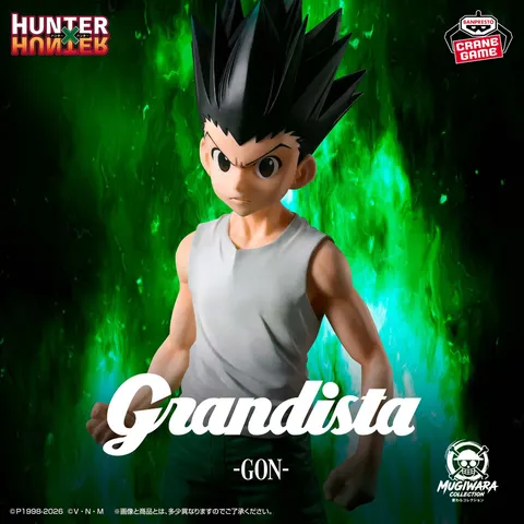 Gon Freecss Hunter x Hunter Grandista